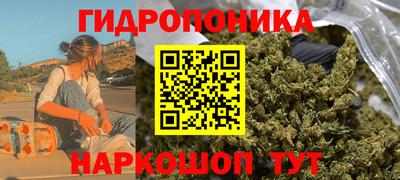 винт Краснодар