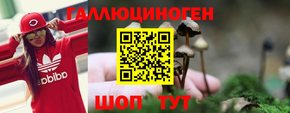 Галлюциногенные грибы Magic Shrooms  Псилоцибиновые грибы мухоморы  Карачаевск  купить наркоту  Вход с VPN 